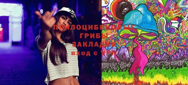 крисы Арсеньев