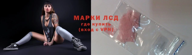 крисы Арсеньев