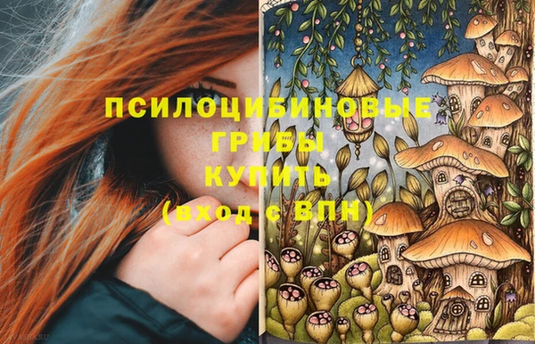 крисы Арсеньев