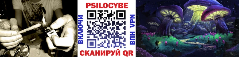 магазин    Сорск  Псилоцибиновые грибы прущие грибы 